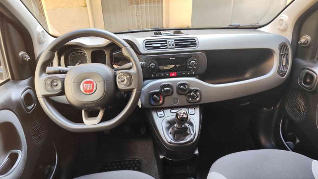 FIAT Panda usata, con Controllo trazione