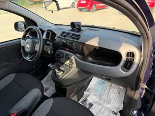 FIAT Panda usata 26