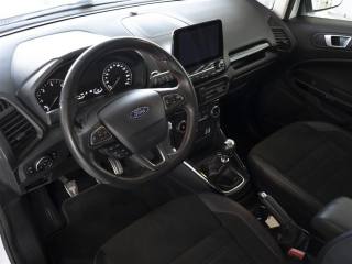 FORD EcoSport usata, con Vetri oscurati