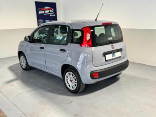 FIAT Panda usata, con Autoradio