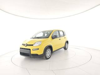 FIAT Panda usata, con Airbag