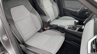 RENAULT Clio usata 30