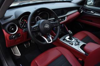 ALFA ROMEO Stelvio usata, con Alzacristalli elettrici