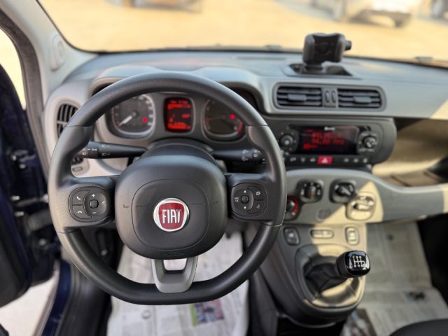 FIAT Panda usata 16