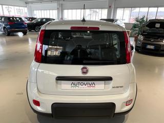 FIAT Panda usata, con Antifurto
