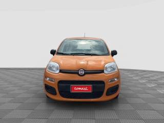 FIAT Panda usata 3