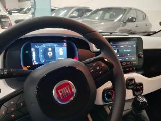 FIAT Panda usata 25