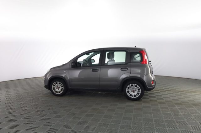 FIAT Panda usata 5
