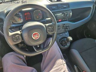 FIAT Panda usata, con Vivavoce
