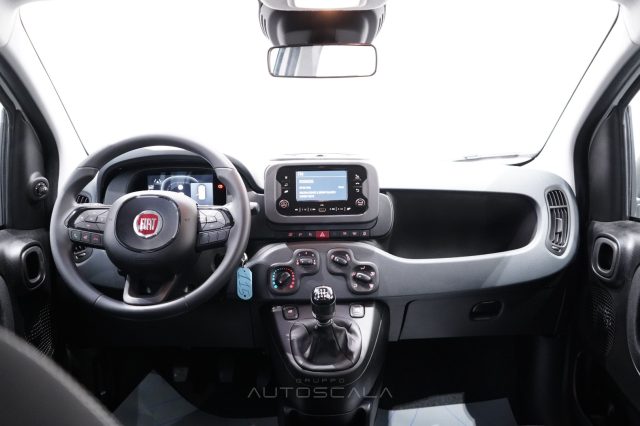 FIAT New Panda usata 19