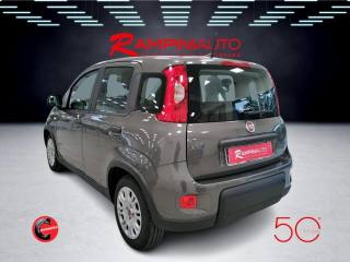 FIAT Panda usata 8