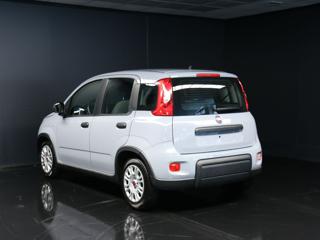 FIAT Panda usata, con Antifurto