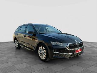 SKODA Octavia usata 6