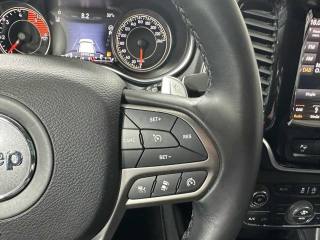 JEEP Cherokee usata, con Adaptive Cruise Control