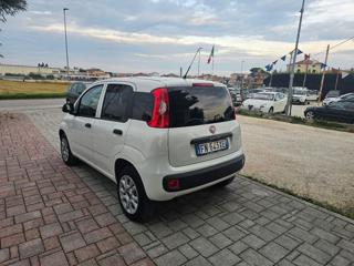 FIAT Panda usata, con Airbag laterali