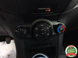 FORD Fiesta usata, con Fendinebbia