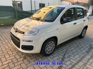 FIAT Panda usata, con Climatizzatore