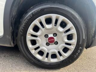 FIAT Panda usata 18