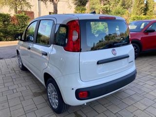 FIAT Panda usata, con Chiusura centralizzata