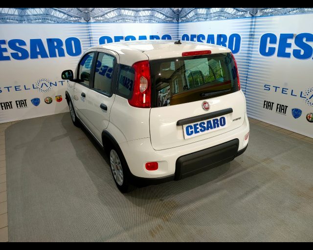 FIAT New Panda usata, con Alzacristalli elettrici