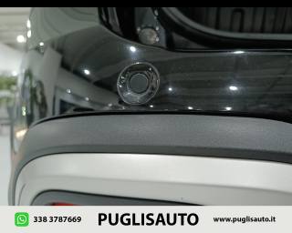 FIAT Panda usata 21