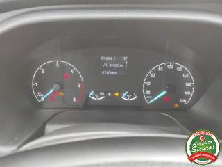 FORD Transit usata 12