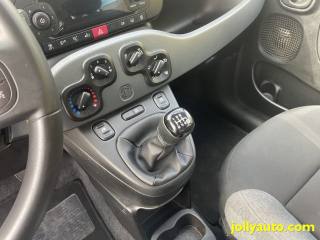 FIAT Panda usata 25