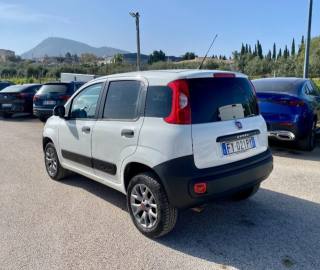 FIAT Panda usata, con Controllo trazione