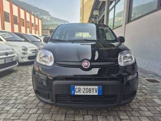 FIAT Panda usata, con Alzacristalli elettrici