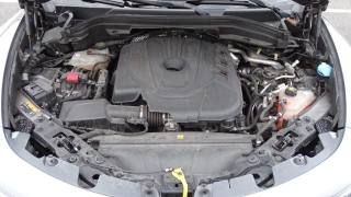 ALFA ROMEO Stelvio usata, con Fari Xenon