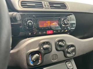 FIAT Panda usata 13