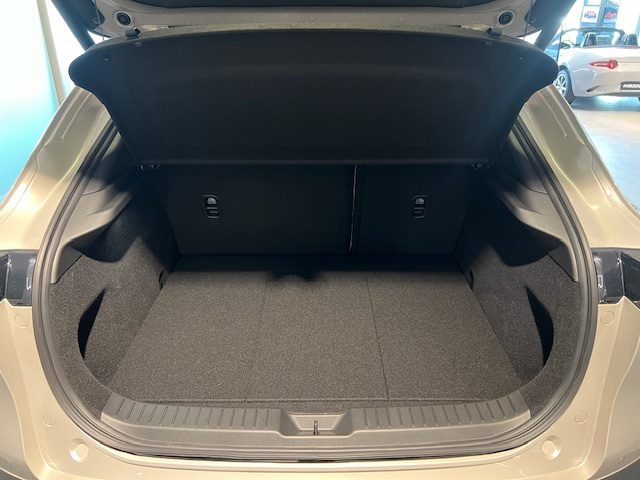 MAZDA CX-30 usata, con Servosterzo