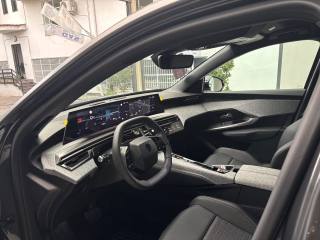 PEUGEOT 3008 usata, con Autoradio digitale