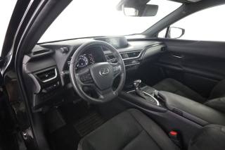 LEXUS Other usata 1