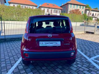 FIAT Panda usata, con Antifurto