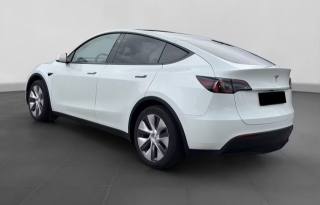 TESLA Model Y usata, con Airbag Passeggero