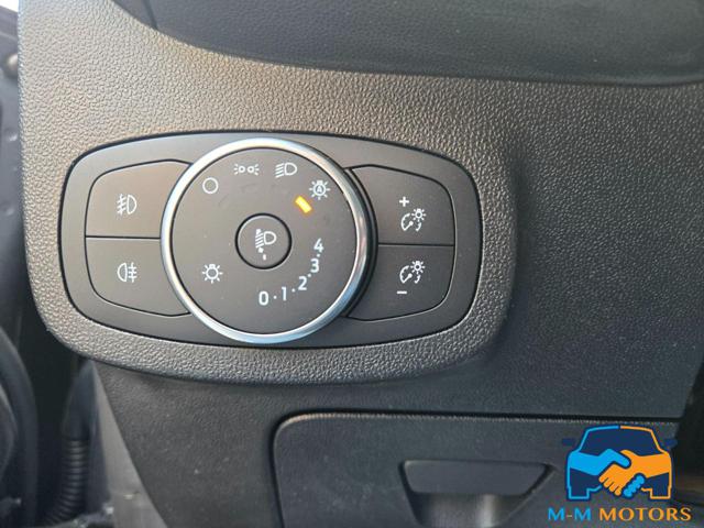 FORD Fiesta usata 14