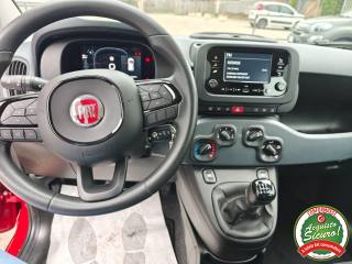 FIAT Panda usata, con Cruise Control
