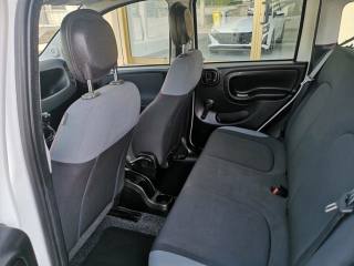 FIAT Panda usata, con Chiusura centralizzata telecomandata