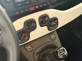 FIAT Panda Cross usata, con ESP