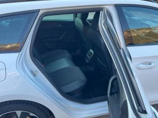 CUPRA Leon usata, con Fendinebbia