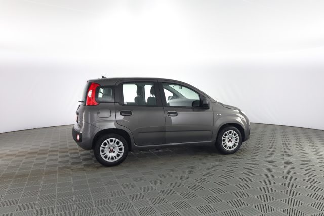 FIAT Panda usata 2