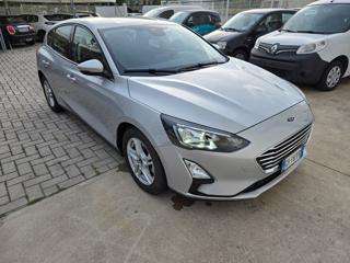 FORD Focus usata, con Servosterzo