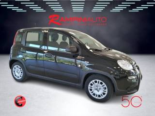 FIAT Panda usata 4