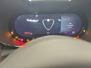 ALFA ROMEO Tonale usata, con Fari LED