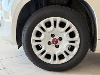 FIAT Panda usata 17