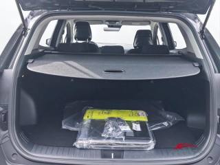 KIA Sportage usata 8