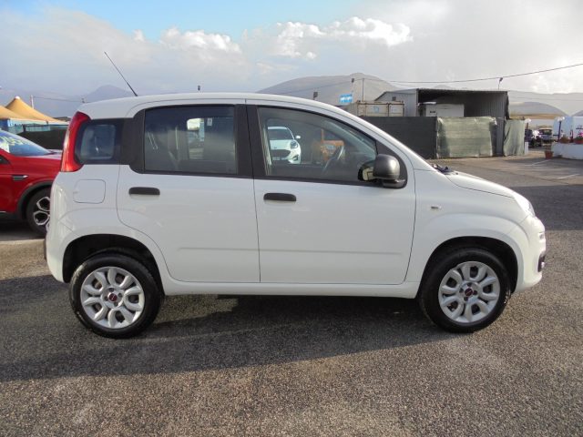 FIAT Panda usata 11
