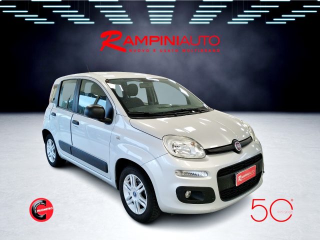FIAT Panda usata 4