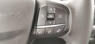 FORD Fiesta usata, con Chiusura centralizzata telecomandata